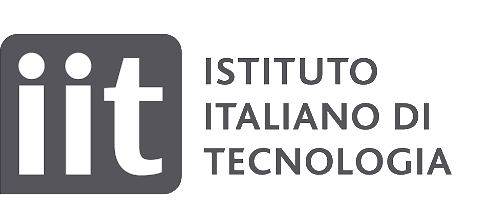 logo iit